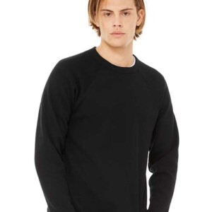 Sponge Fleece Raglan Crewneck Sweatshirt