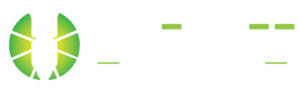 Lime Tree Custom Branding Ltd. logo – custom branding, engraving and apparel in Saskatchewan